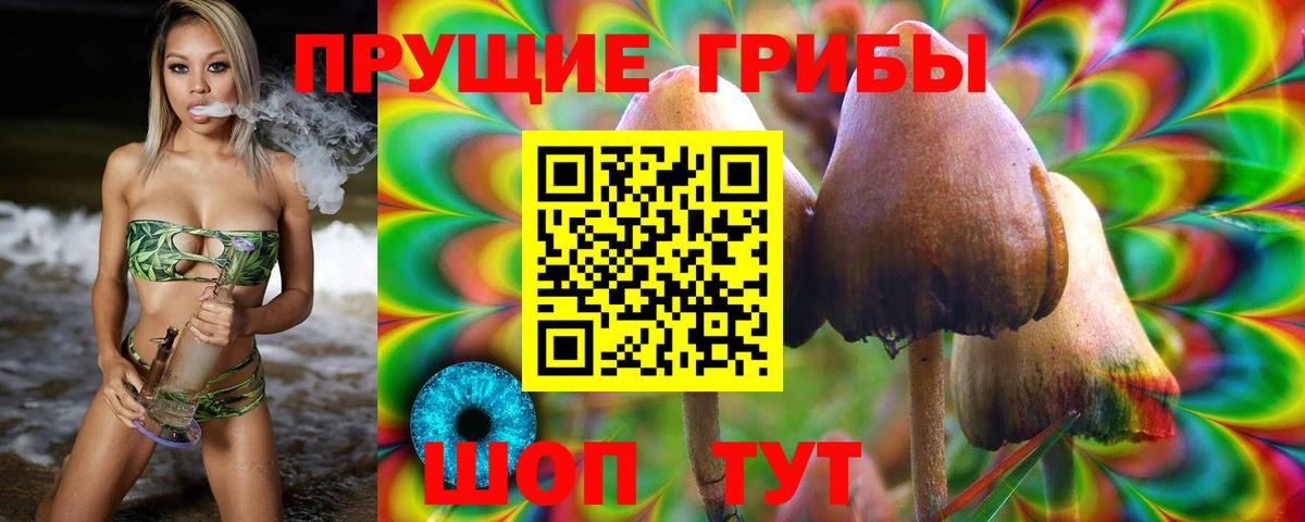 Галлюциногенные грибы MAGIC MUSHROOMS Владивосток